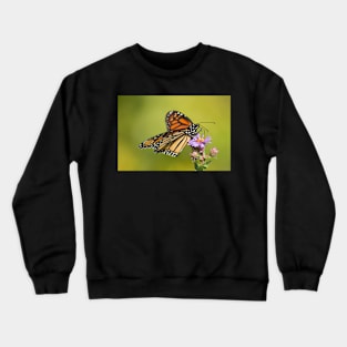 Royal Crewneck Sweatshirt